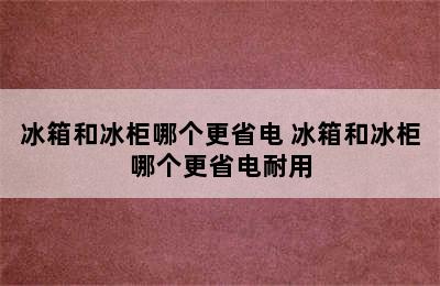 冰箱和冰柜哪个更省电 冰箱和冰柜哪个更省电耐用